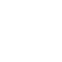 Jungle Hotel